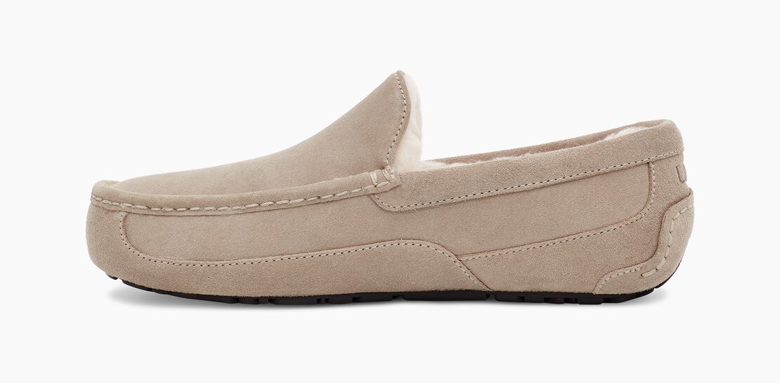 UGG Ascot Herren Slipp in Hausschuhe