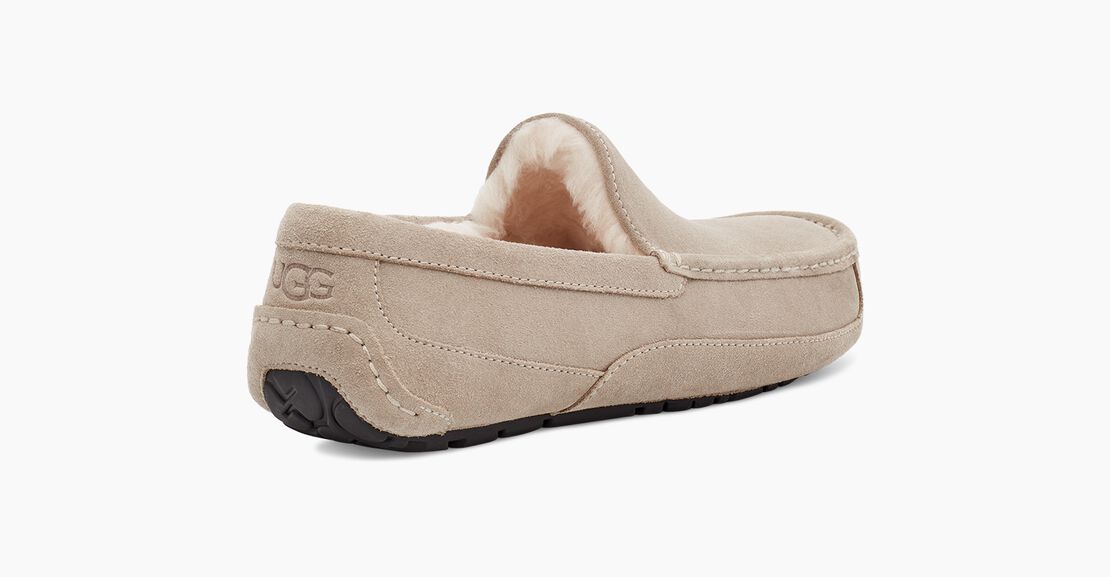 UGG Ascot Herren Slipp in Hausschuhe