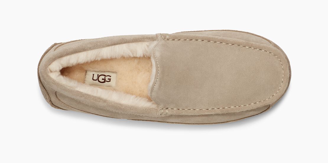 UGG Ascot Herren Slipp in Hausschuhe