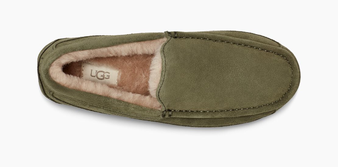 UGG Ascot Herren Slipp in Hausschuhe