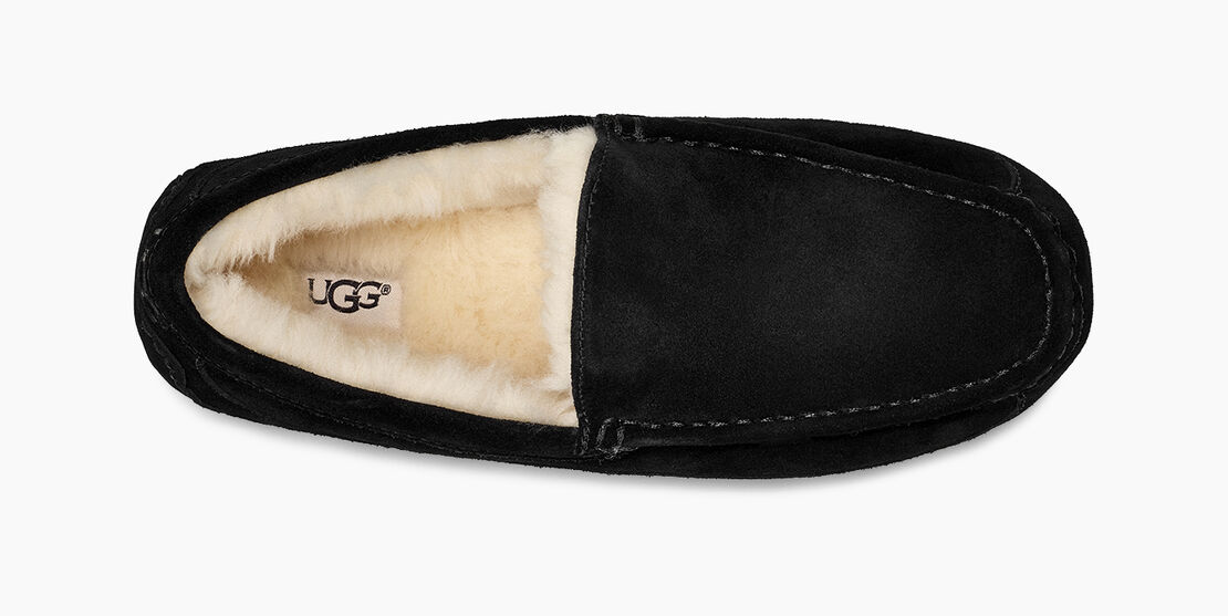 UGG Ascot Herren Slipp in Hausschuhe