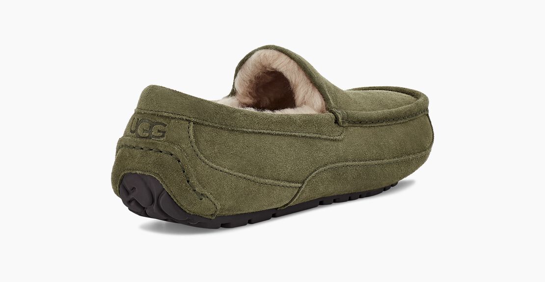 UGG Ascot Herren Slipp in Hausschuhe