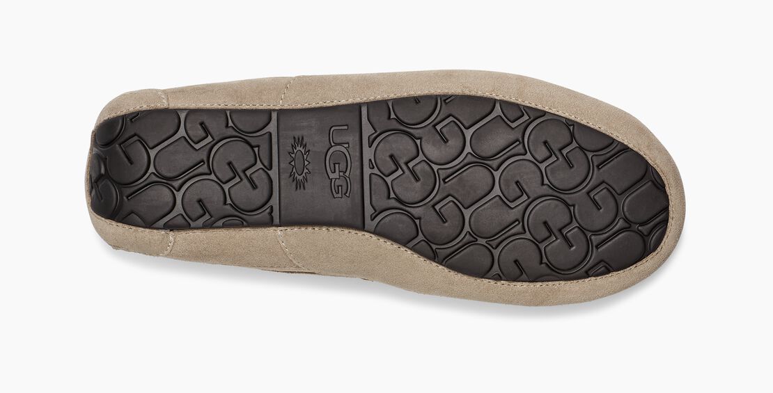 UGG Ascot Herren Slipp in Hausschuhe