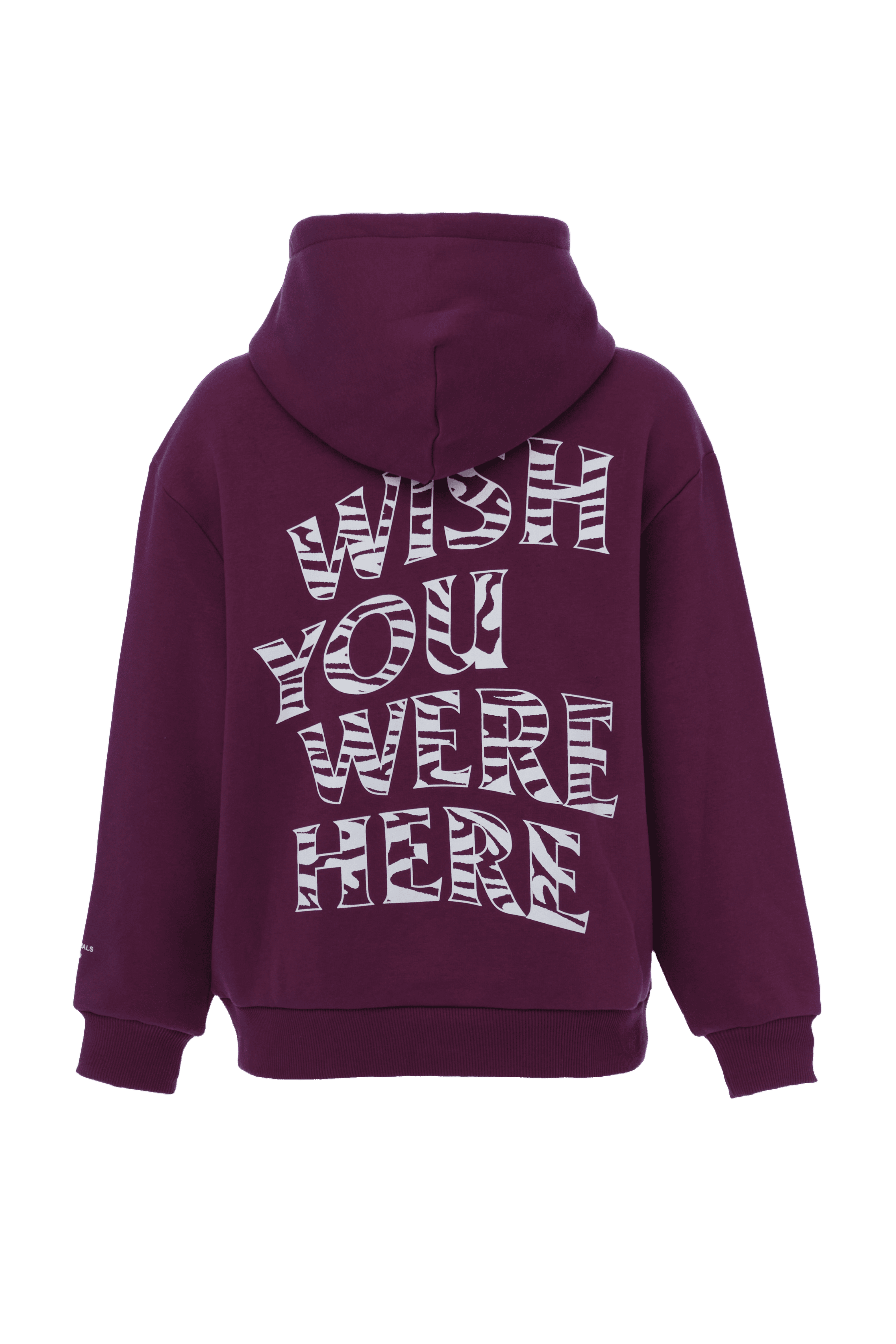 DSCVR Wish you were here Damen Hoodie