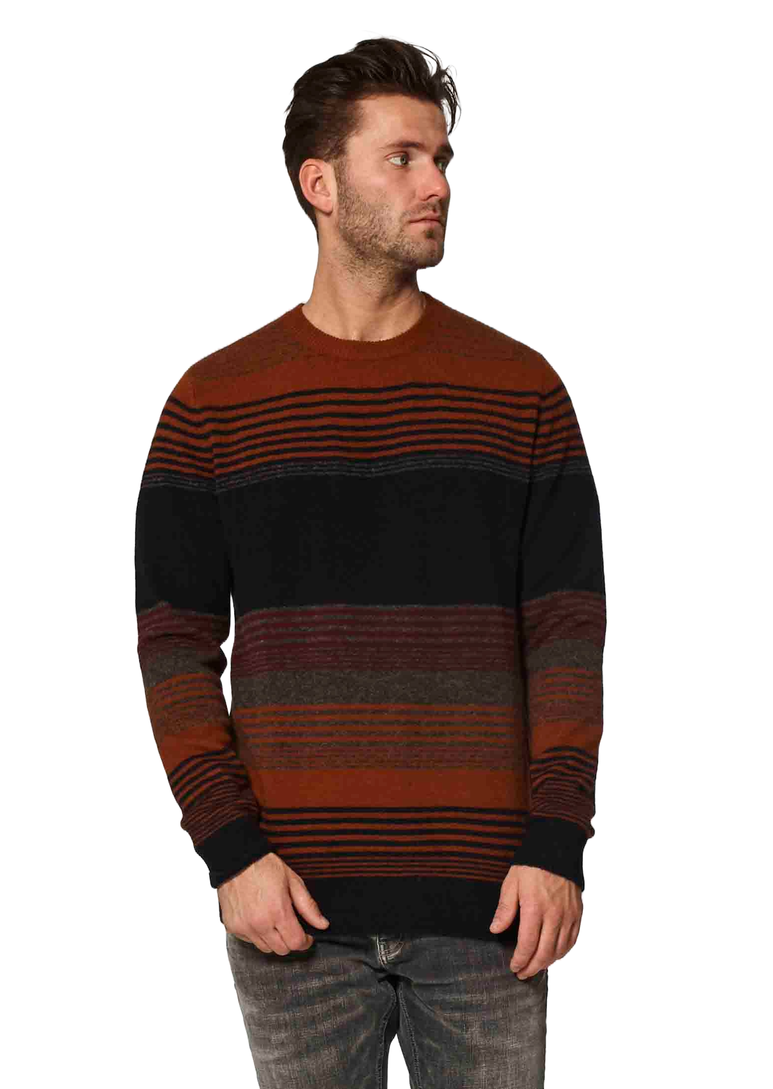 Circle of Trust Oskar Herren Strickpullover